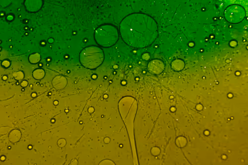 Item #25248765690261585435434482314818899014355955401617162377978101872700277391361 Media