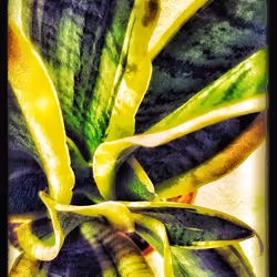 3787080761074609709675817509753112159059746763483256848434353551199338233857