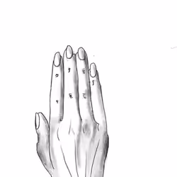 ceshou
