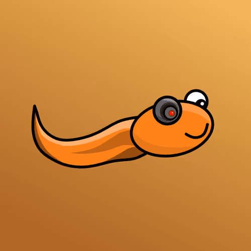 Item #86830278357457952751642541423627664978731795750803285001383327424483499704321 Media