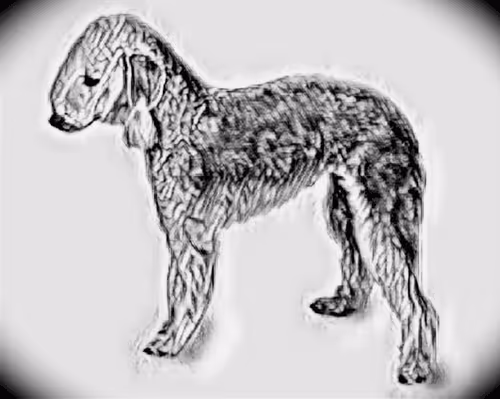 Item #23143313246472061328071561115701105421589606567298838424350448152236104089601 Media