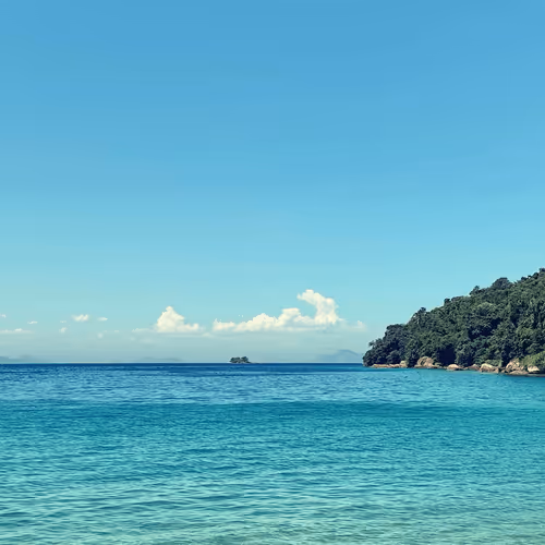 Item #42371708316015035804653308093139138598613107876517934913588075191896345935873 Media