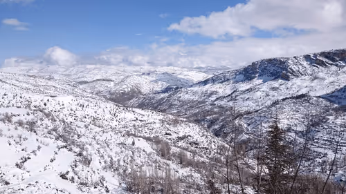 Item #53581876738018030526296833198765097323208142745183468553001527205010874564609 Media