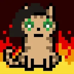 GoonCat #8828
