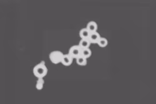 Item #90533889666942019235906675850070983349238221257411499123898581636803440148481 Media