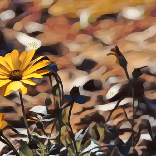 Item #80198979321537469681427610374191876941176913425314491088131948646014734303233 Media