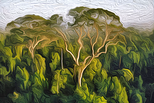 Item #53293942116468401556828473725211609702143921669187691239079210555214900756481 Media