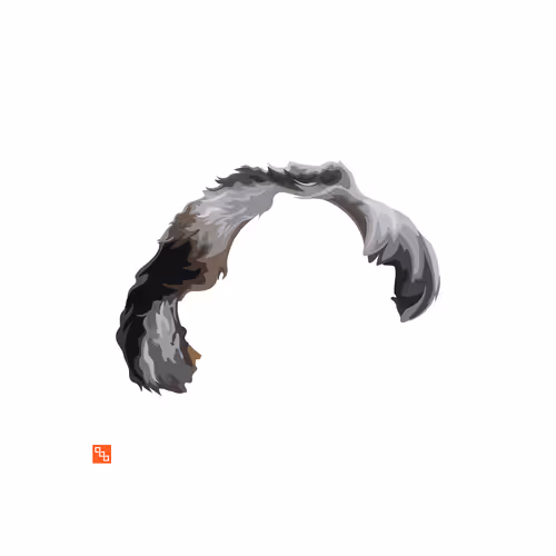 Item #83134299584517551667903705646363060465598298663272299829177936817536672727041 Media