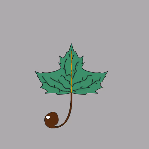 Item #67442861663334708568431626599499864796798009138674433109352702592265572319233 Media