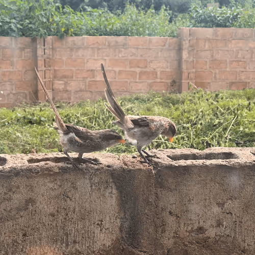 Untitled Collection #284910504