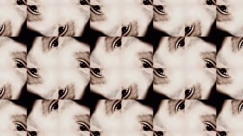 Item #24903874531350115991913359074638014120394763804843076394666795058898684346369 Media