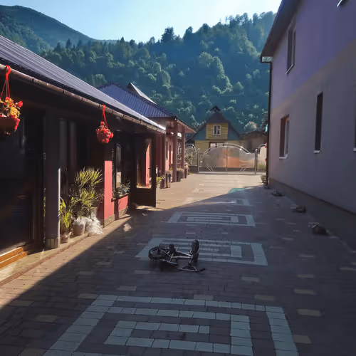 Untitled Collection #136421206