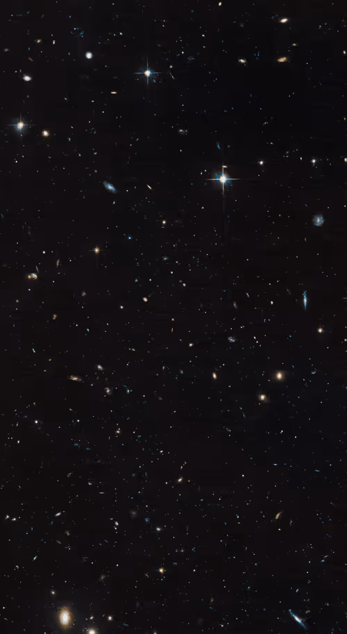 Item #48123260108416216485386866819872412066587216369492635371751053965077937913857 Media