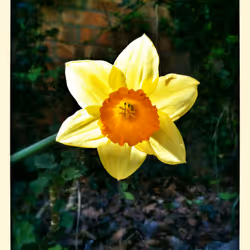 3787080761074609709675817509753112159059746763483256848434353952521082372097