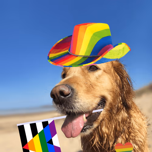 Item #26839399415497039076862880694069072006331525189107682525417321843458714894337 Media