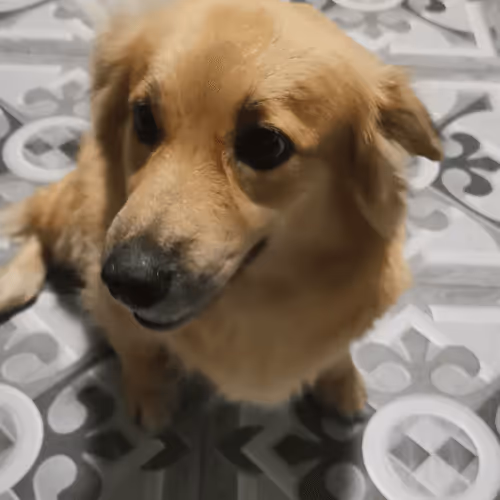 Untitled Collection #435345880