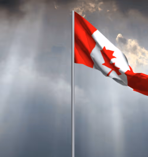 Item #38203692850974122049233049556679719394605957737177101189407168530781531275265 Media