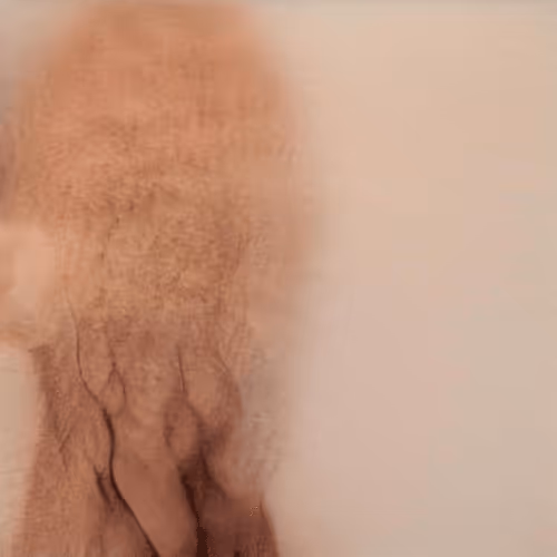 Item #82600979221046623916123607989992051554878063819231594198398202614231395729409 Media