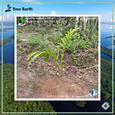 Item #8500196597889277390194123329501889087166328879864934763448349319596058083329 Media