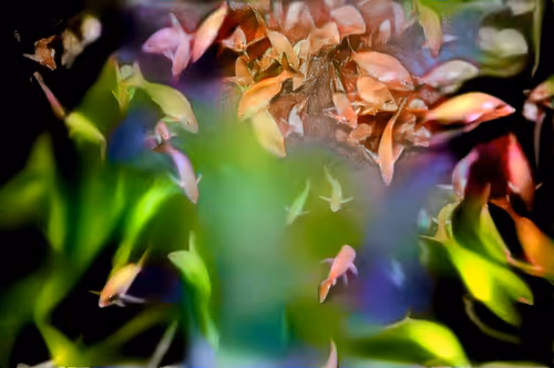 Item #113896502890197621361710805655838357977370310127607994191357366481310852317189 Media