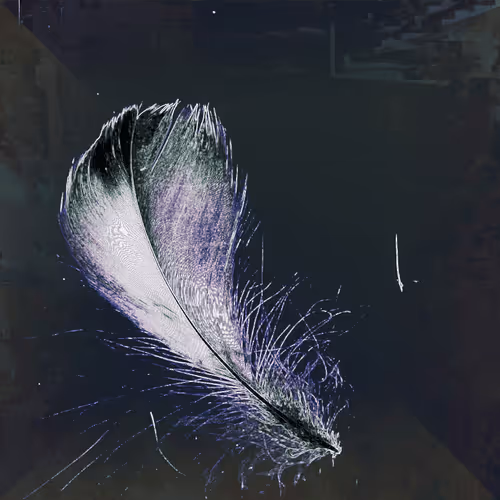 Item #72932321608233697749117711298000337470595698923978217717692158270345710665729 Media