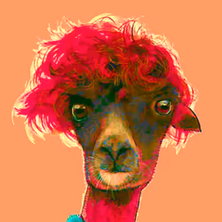 Adventurous Alpaca