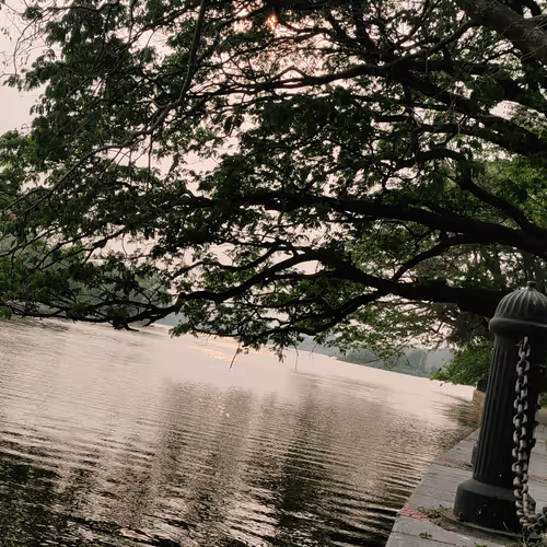 Item #45168988589298158869665483059739904468857564357720385806314806717981522919425 Media