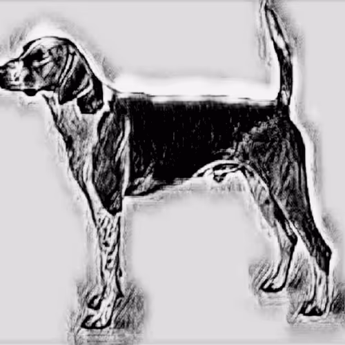 Item #23143313246472061328071561115701105421589606567298838424350448119250755256321 Media