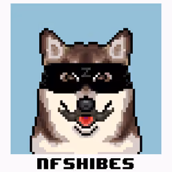 zorro - vinyl stickers - #1