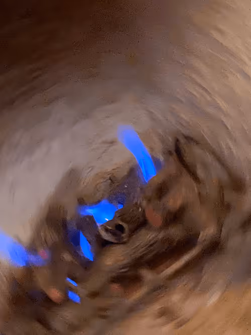 Item #62402000334580523921237358418718502457721815832787791947048085445429690368001 Media