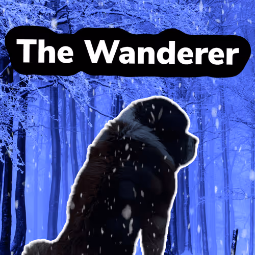 Item #15794007923744964589463280162252880392984187578375107792652798219106289451018 Media