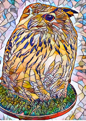 Mosaic Owl