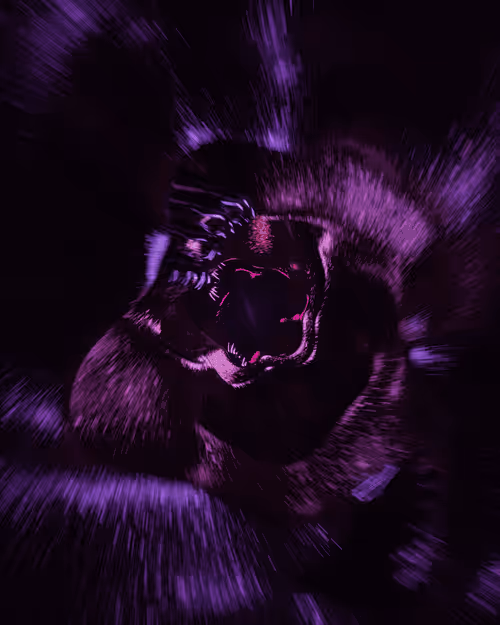 Item #36809437425523513738962767380844661460455749817599907724177972562544123969537 Media