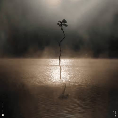 Item #91987188664952173538408246087435973908604197129550952736805070620726394880001 Media