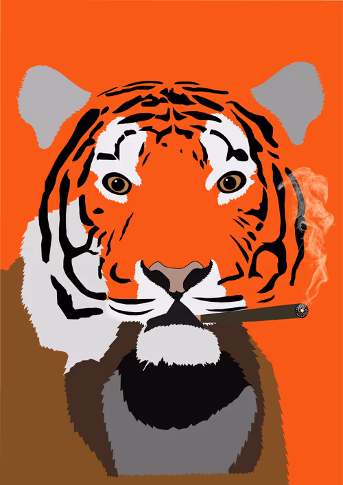 Item #46679994496108624530020148644785155104419172278486625888968680970719024119809 Media