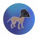 2890240806784307913428362439206396736131943130933666317323197723141260443649