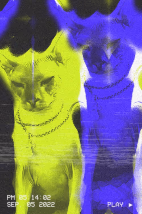 Item #22777017725016447267189535712186364108271002544022421375049282310546030329857 Media