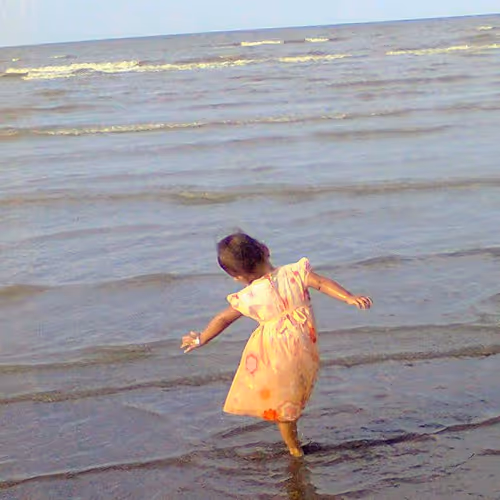 freedom
