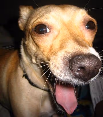 Item #77488077269402933001493999978330028328393158922907246613366186947554404466713 Media