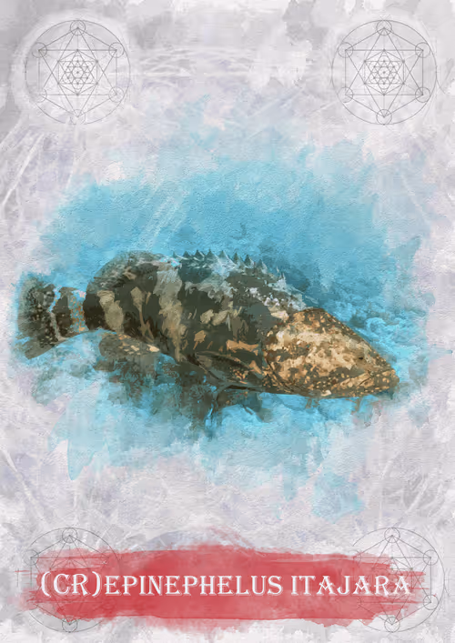 Item #108829080069432666427413762901192148077907568328307962474054884581539733045255 Media