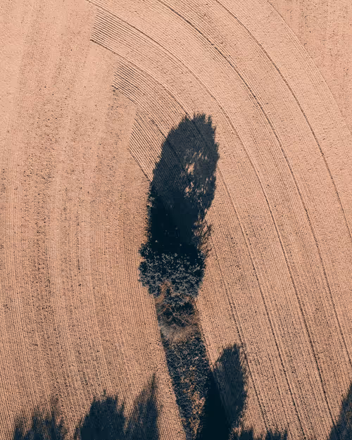 Item #53767926527216059655815230459290075680023416823496414211124190727698529648641 Media