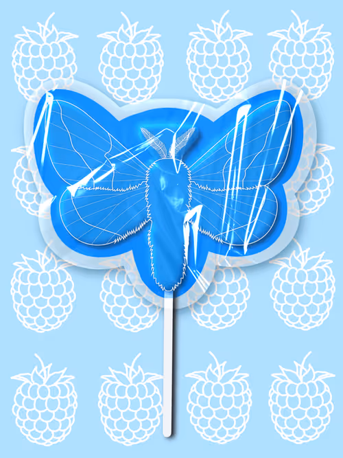 Item #26695375726130491819846042962505402337385115040526357390892607908319818940417 Media