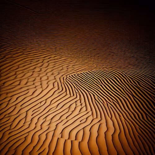 Item #63688406641092808287095697662939930553125729459924580387106277386426628702209 Media