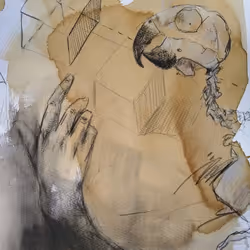 68579931899165256992046842390754239536018050585974283877688204189782792732673