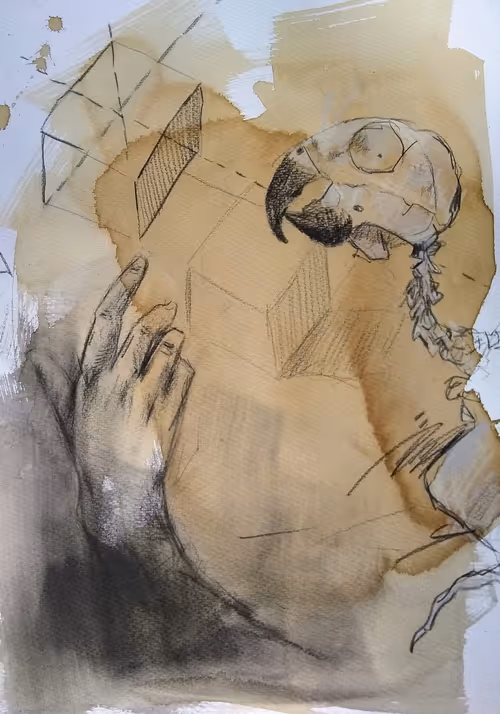 Item #68579931899165256992046842390754239536018050585974283877688204189782792732673 Media