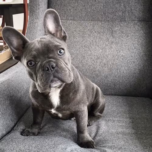 99031261785432219130552668818269695456905868997165113515571762374226812600321