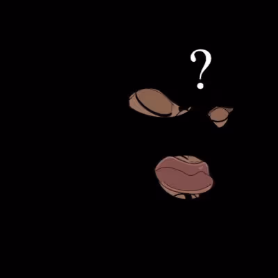 Item #41914427417516216148145682255446589354032478681983869023493732349429403353089 Media