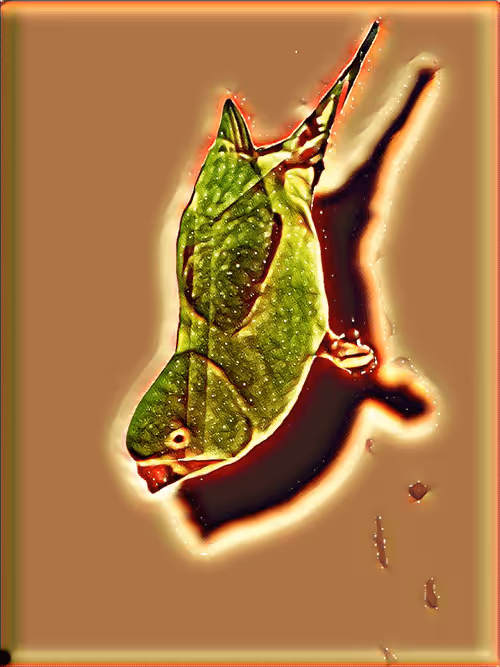 Item #104223747438996827402334393306322117808893391703647027998727742912603592065025 Media