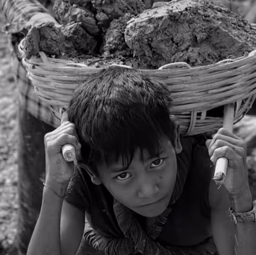 Item #44786185560480687958912378262206717901509372889045112254694744388793245106177 Media