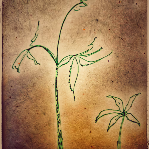 3787080761074609709675817509753112159059746763483256848434353936028407955457